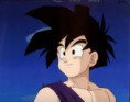 Teen Gohan: